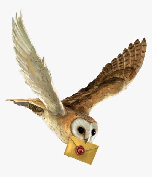 Owl with Letter